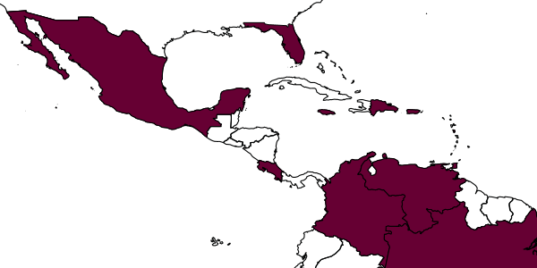 map of Hambletonia pseudococcina     Compere, 1936